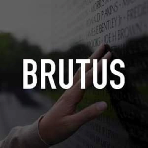 DJ Brutus onlinepiraat